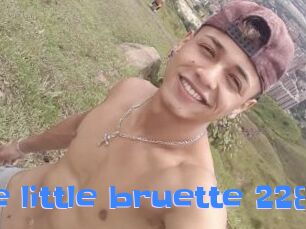 The_little_bruette_228