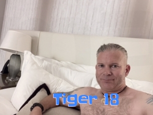 Tiger_18