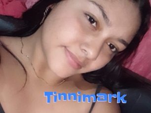 Tinnimark