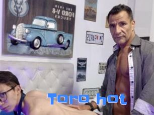 Toro_hot