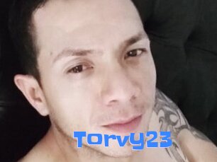 Torvy23