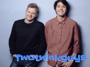 Twotwinkguys