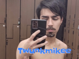 Twunkmikee