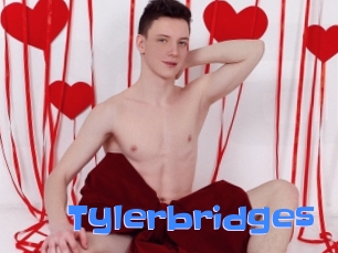 Tylerbridges