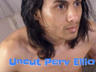 Uncut_Perv_Elliot