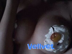 Vellvet