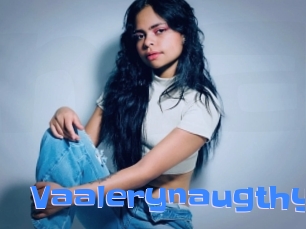 Vaalerynaugthy