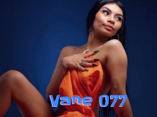 Vane_077