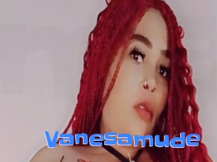 Vanesamude