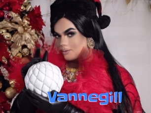 Vannegill