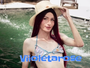 Viioletarose