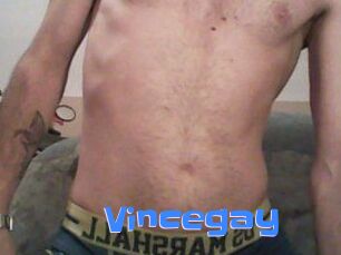 Vincegay