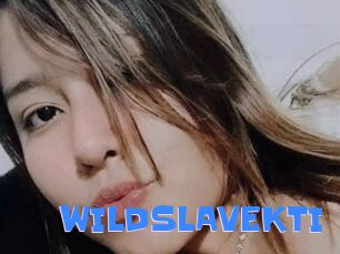 WILDSLAVEKTI