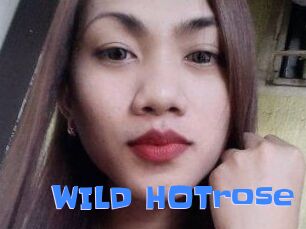 WILD_HOTrose