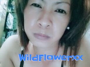 WildFlowerxx