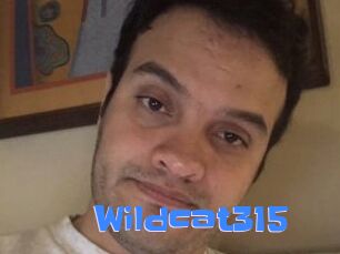 Wildcat315