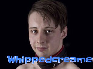 Whippedcreamer