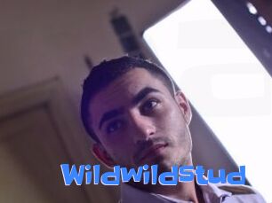 wildwildstud Mausi Privat
