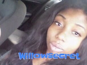 Willow_secret