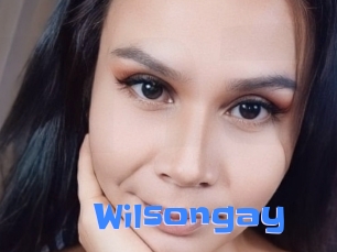 Wilsongay