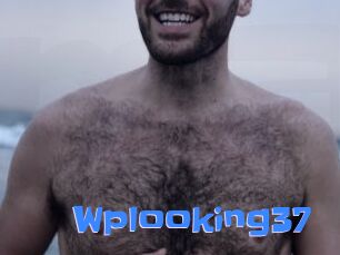 Wplooking37