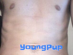 YoungPup Mausi Privat