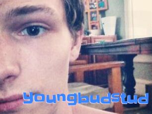 Youngbudstud