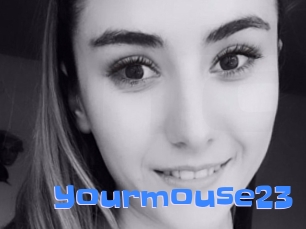 Yourmouse23