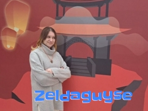 Zeldaguyse