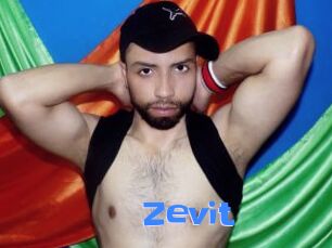 Zevit
