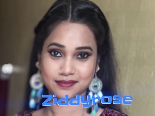 Ziddyrose